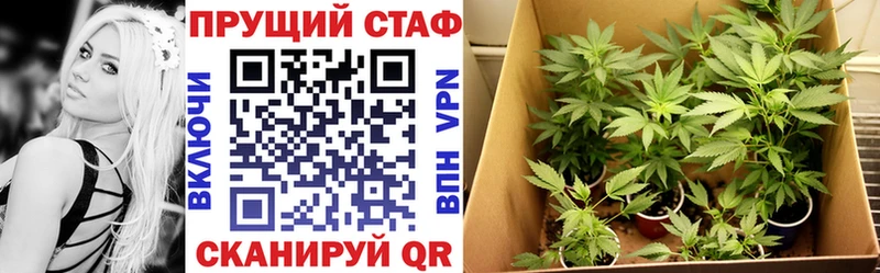 Купить закладку Alpha PVP Меф мяу мяу Cocaine ГАШИШ Канабис Калачинск