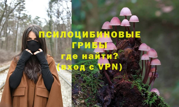 mix Алексин