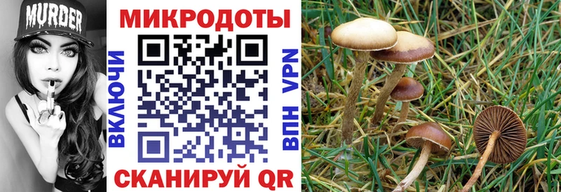 Галлюциногенные грибы GOLDEN TEACHER  Купить где  Калачинск 